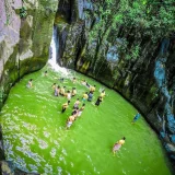 Keralamkundu Waterfall Malappuram 